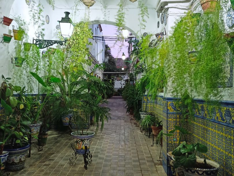 patios triana