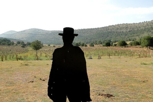 40049989023_0e104fd784_c