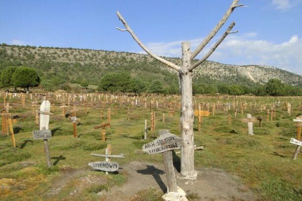 Árbol en el Cementerio de Sad Hill, en Burgos