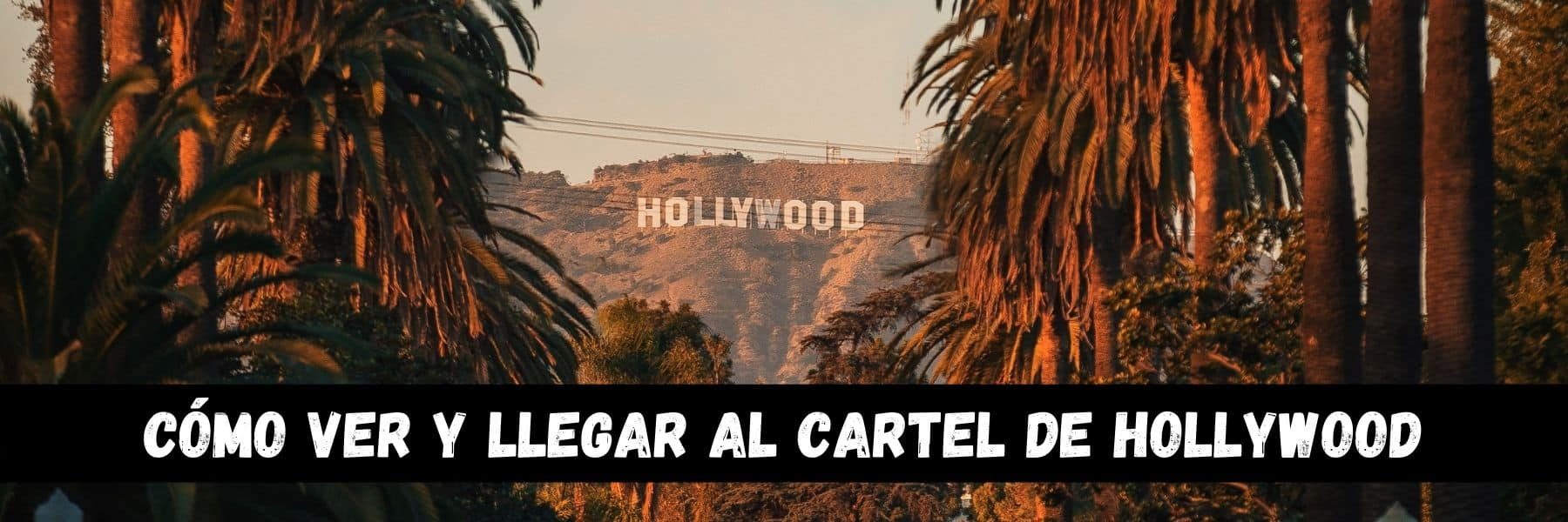como-ver-el-cartel-de-hollywood-mtw