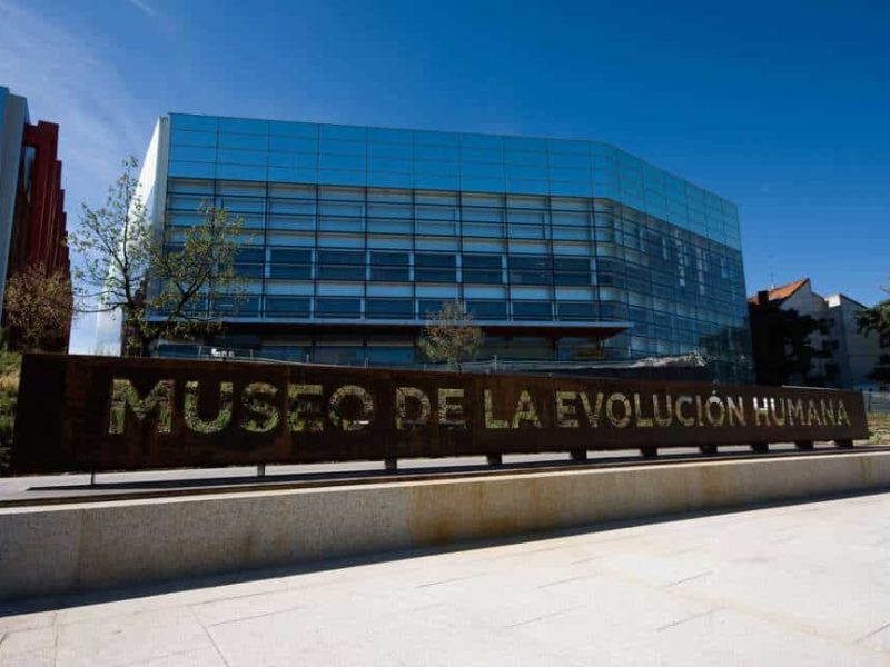 Museo de la Evolución Humana en Burgos