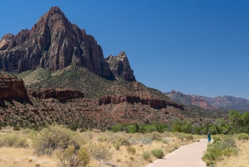 parus-trail-zion parus-trail-zion